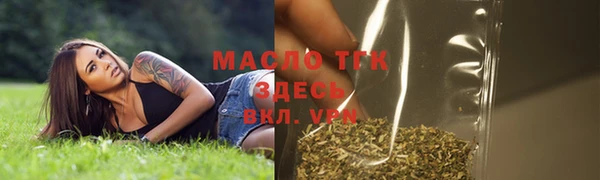 сатива Ельня
