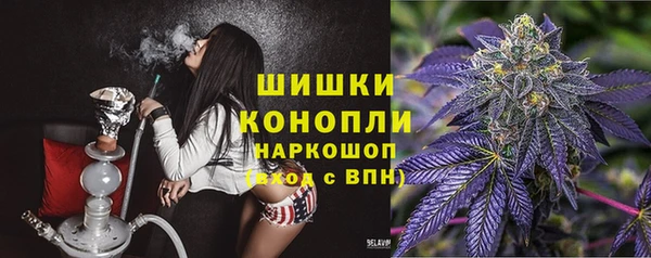 сатива Ельня