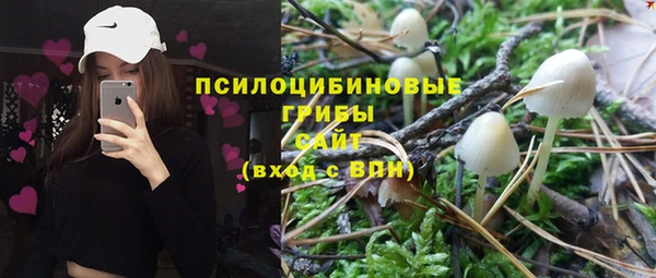 сатива Ельня