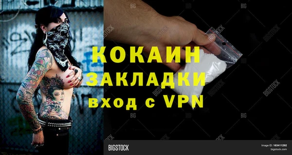молекула духа Дмитриев