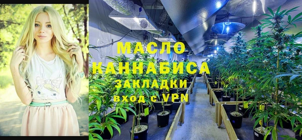 сатива Ельня