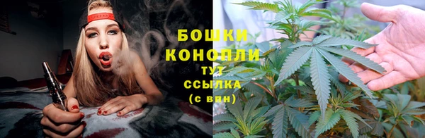 сатива Ельня