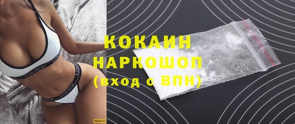 сатива Ельня