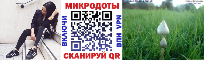 Псилоцибиновые грибы прущие грибы Суворов